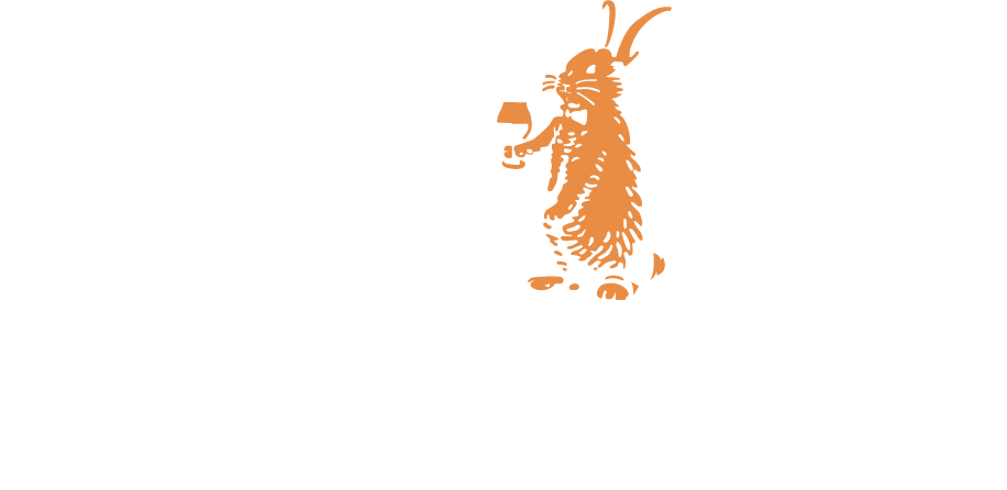 Objexom Mimarlık